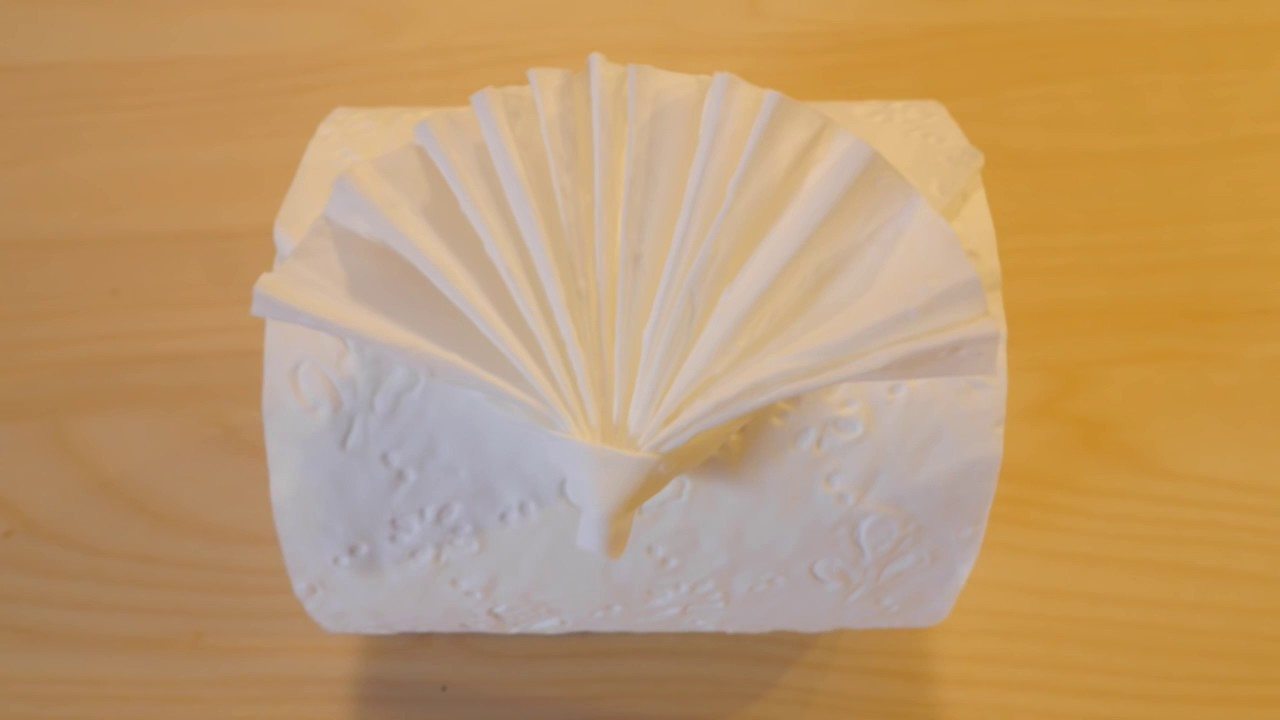 Toilet Paper Origami How To Make Toilet Paper Origami Folding Fan Easy