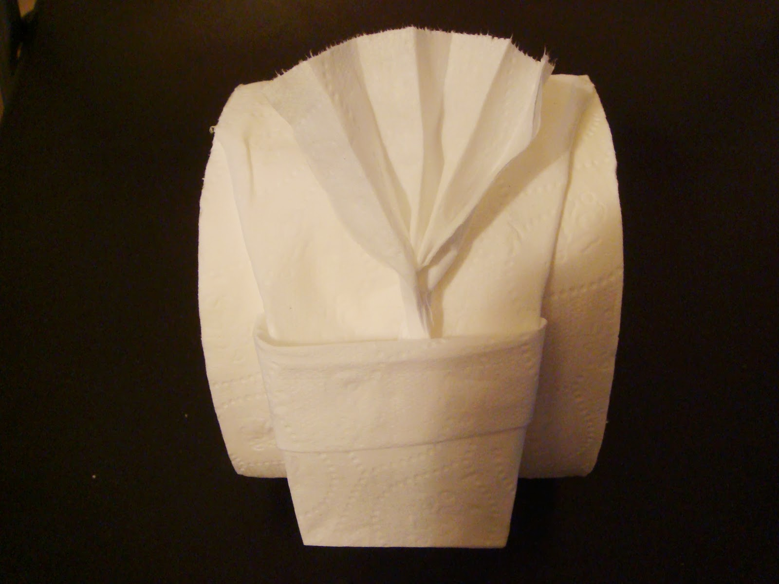 Toilet Paper Origami Toilet Paper Origami Amypayroo
