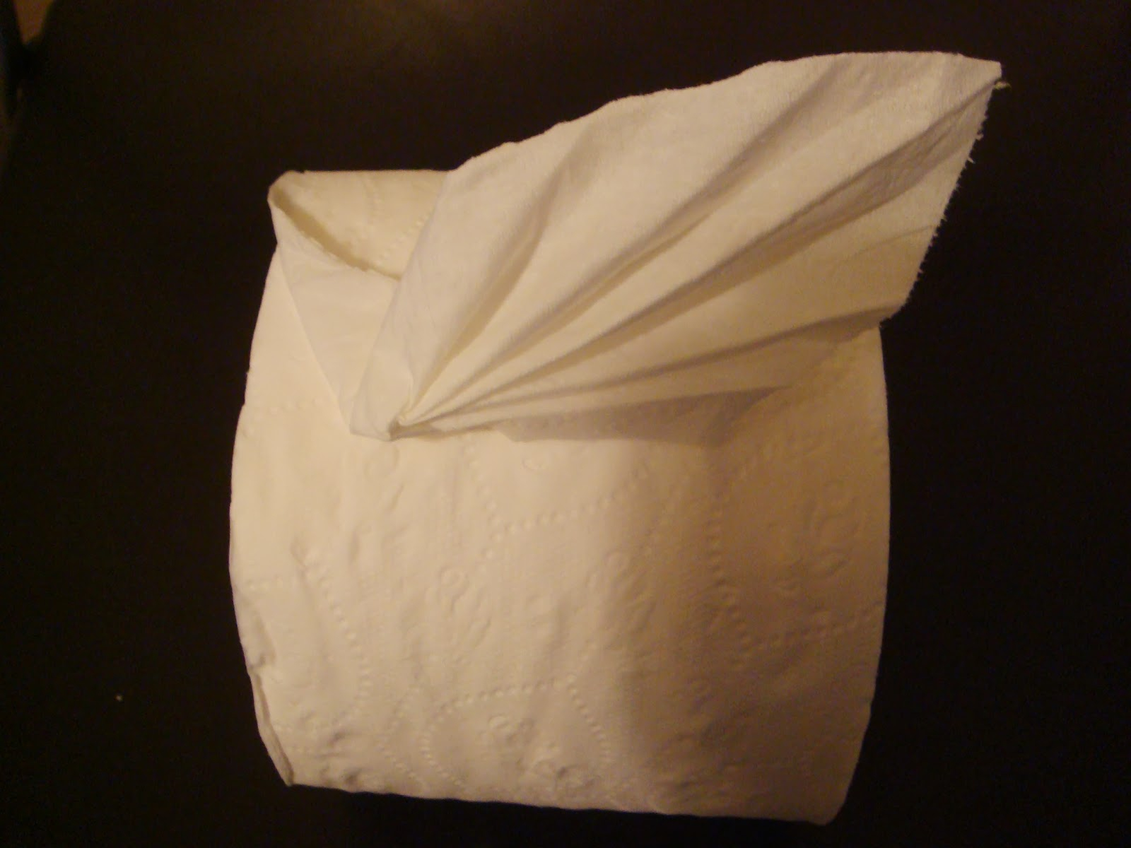 Toilet Paper Origami Toilet Paper Origami Leaf Instructions Amypayroo