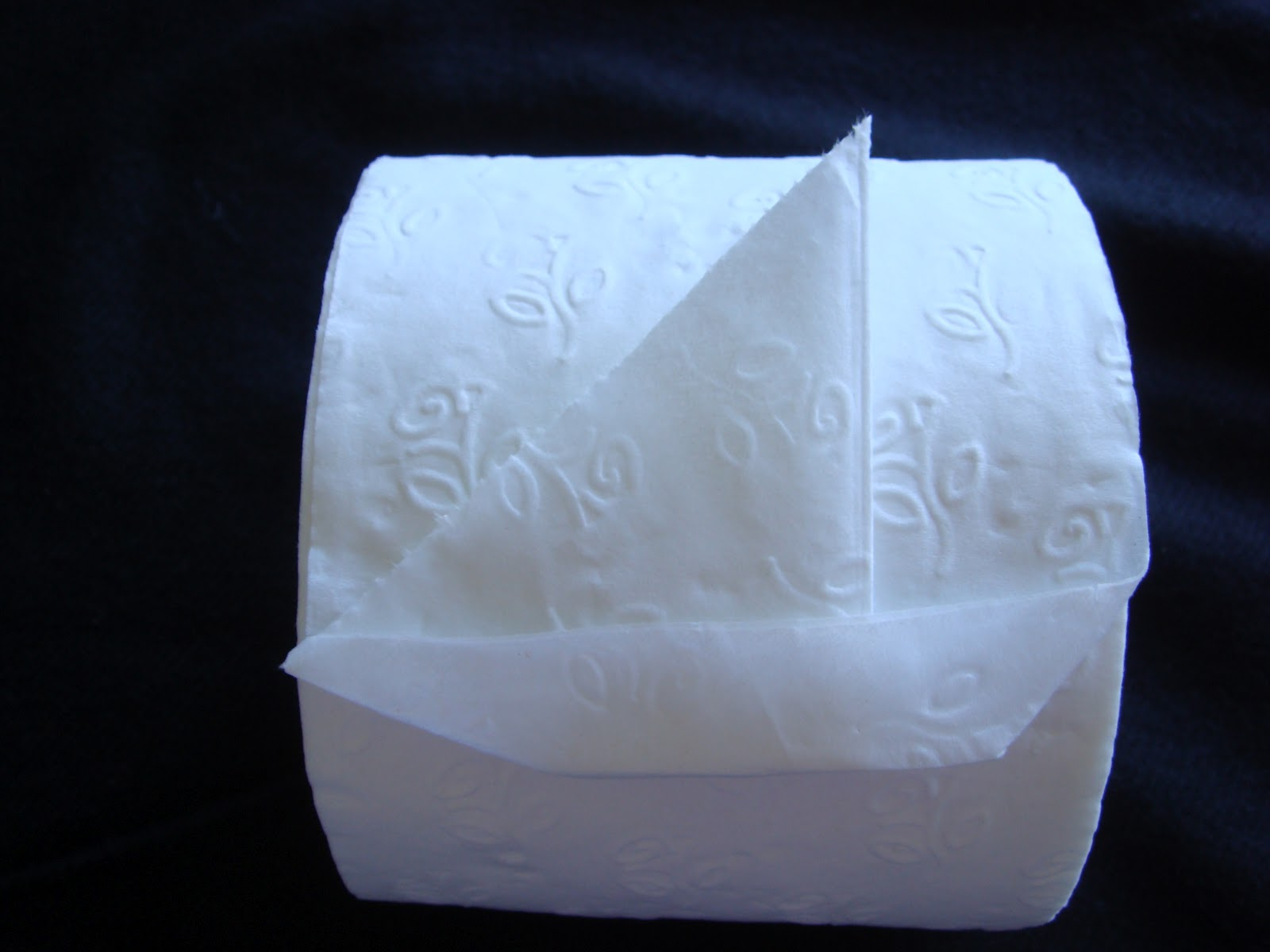 Toilet Paper Origami Toilet Paper Origami Sailboat Amypayroo
