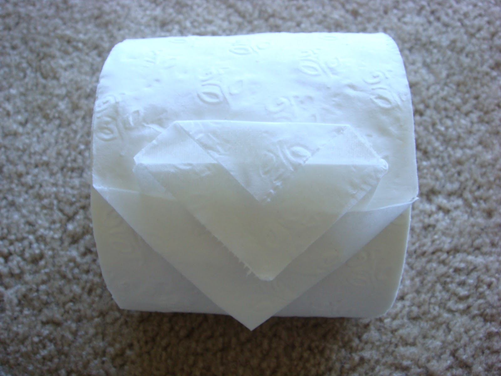 Toilet Paper Origami Toilet Paper Origami Triple Point Amypayroo