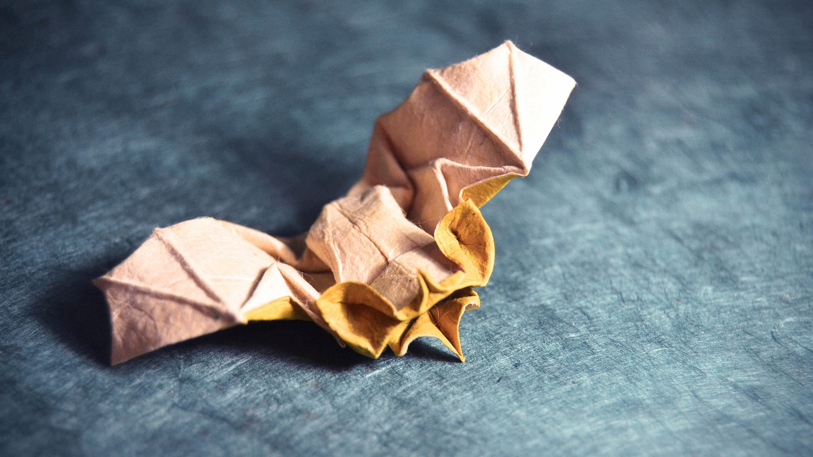 Vog 2 Origami Pdf 12 Spooky Origami Halloween Bats