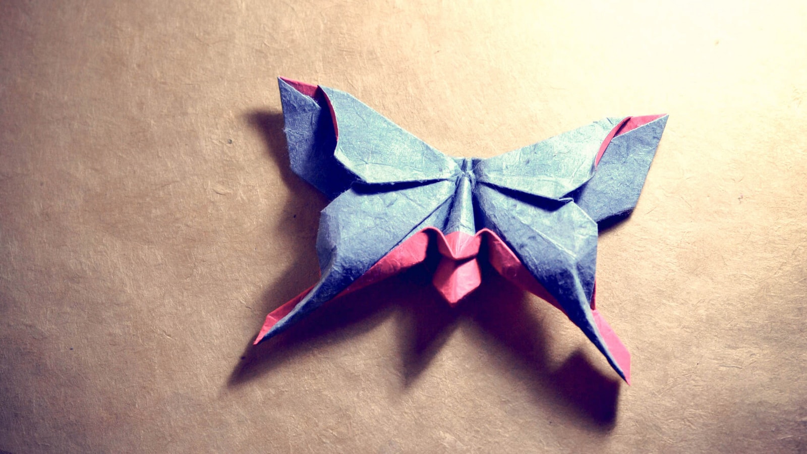 Vog 2 Origami Pdf Paper Metamorphosis Beautiful Looking Origami Butterflies