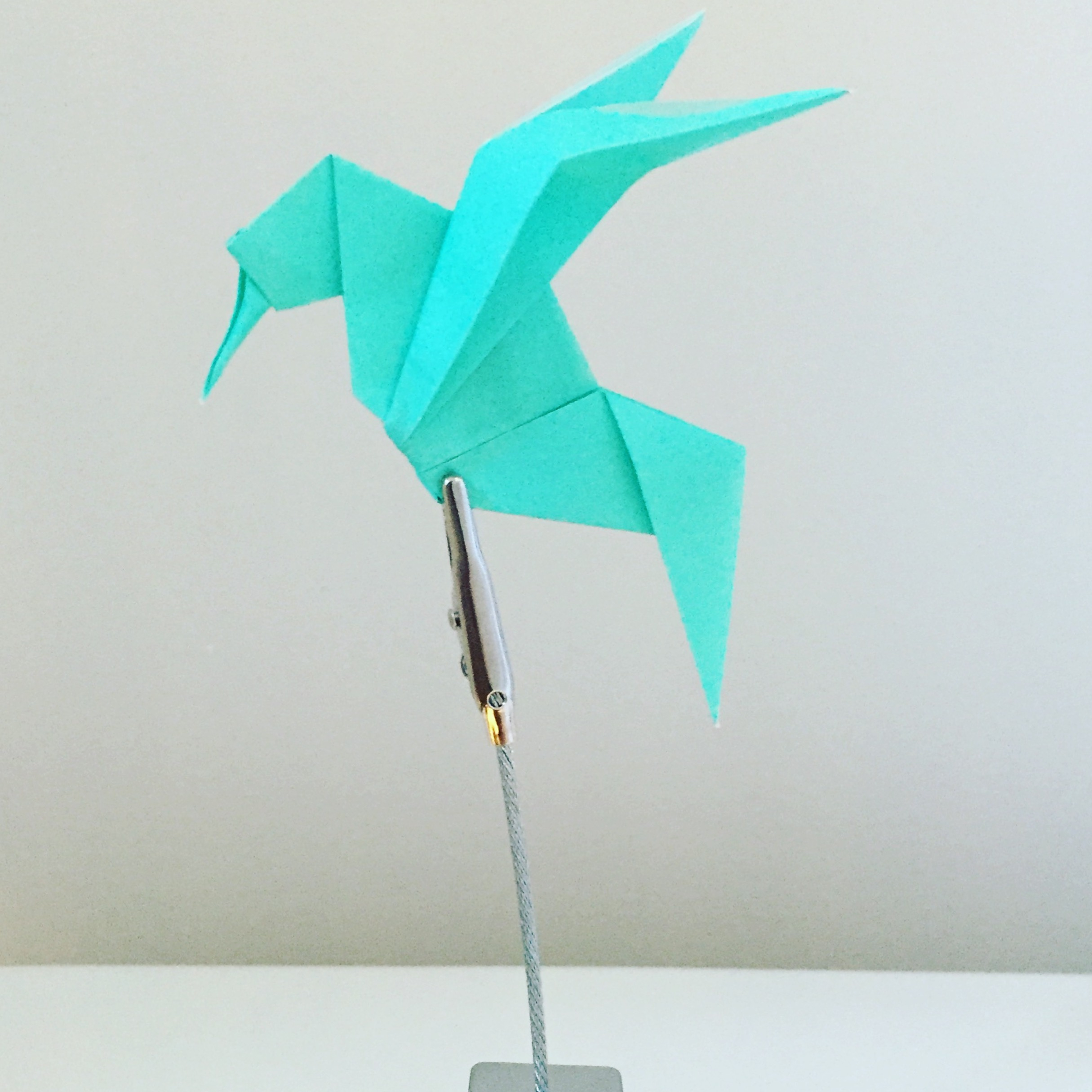 What Is Origamy Artist Profile Yuki Martin Independent Publishing Resource Center