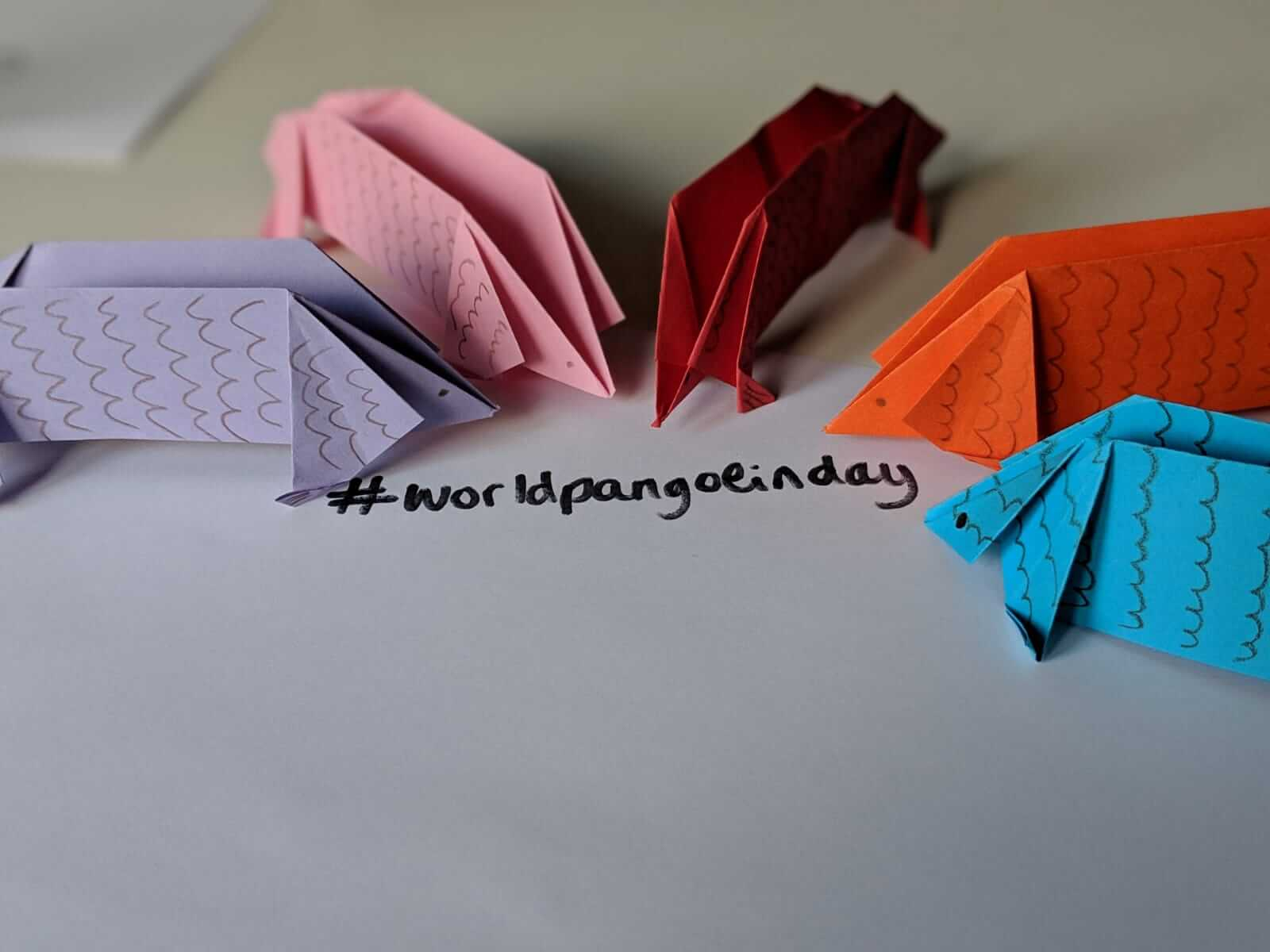 What Is Origamy Origami Pangolins David Shepherd Wildlife Foundation