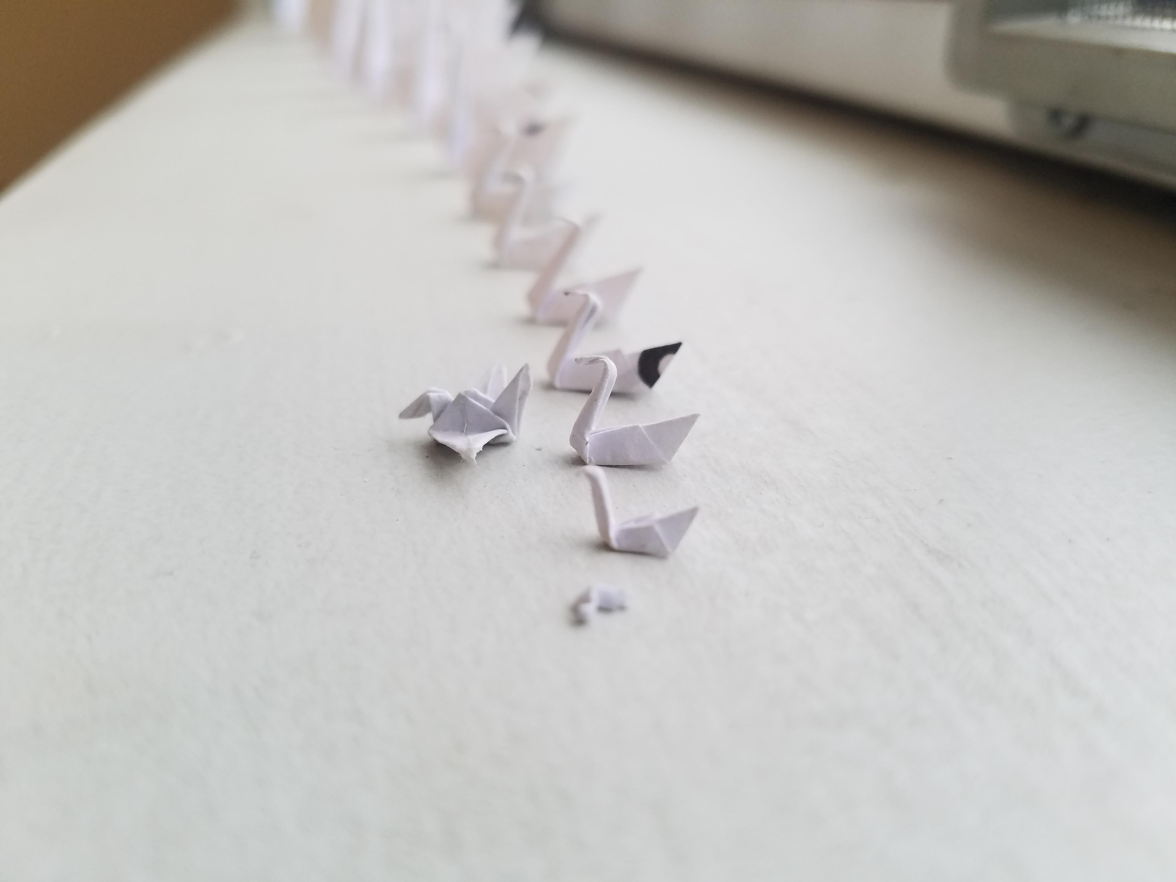 What Is Origamy What Is This Origami For Ants Thingsforants