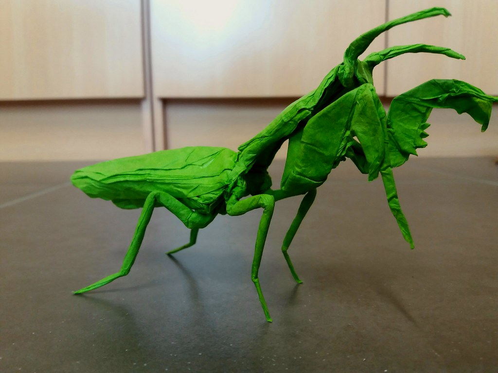 Worlds Best Origami The Worlds Best Photos Of Mantis And Origami Flickr Hive Mind