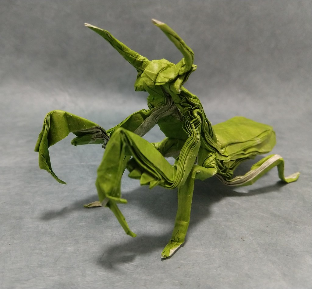 Worlds Best Origami The Worlds Best Photos Of Mantis And Origami Flickr Hive Mind